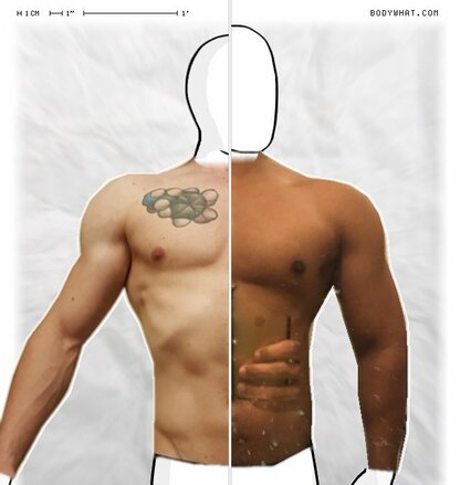Torso Comparison