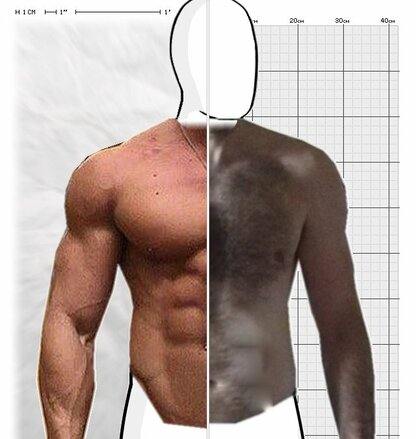 Torso Comparison