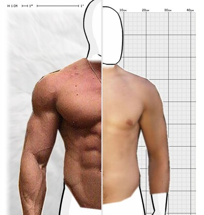 Torso Comparison