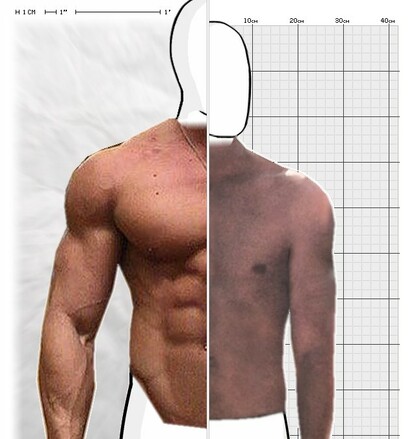 Torso Comparison