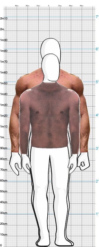 Full Size Comparison