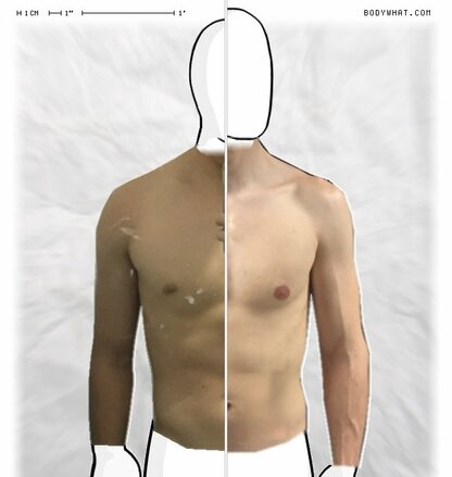 Torso Comparison