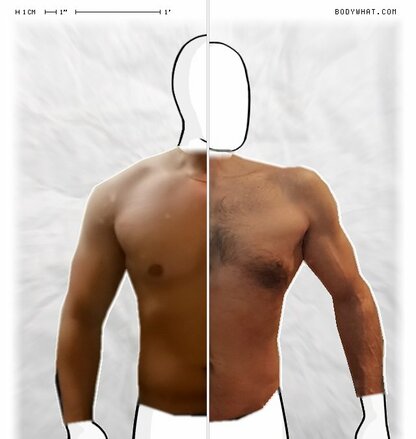 Torso Comparison