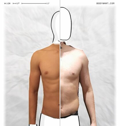 Torso Comparison