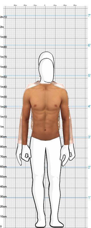 Full Size Comparison