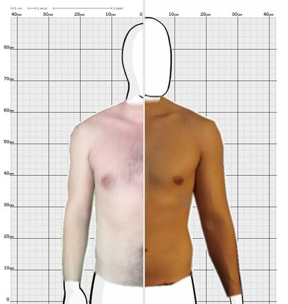 Torso Comparison