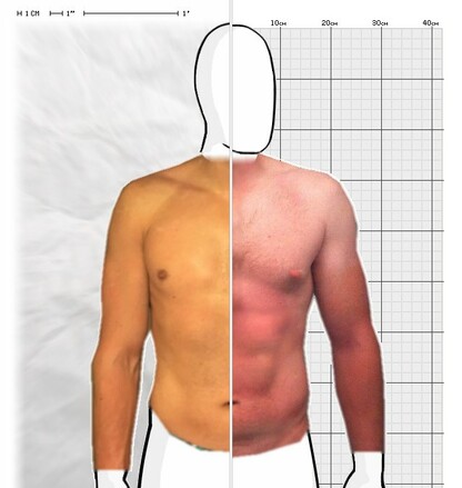 Torso Comparison