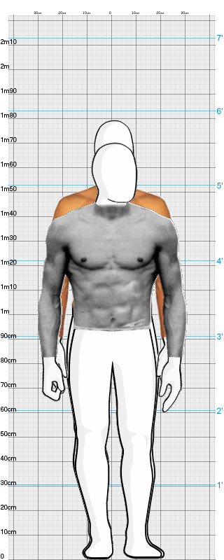 Full Size Comparison