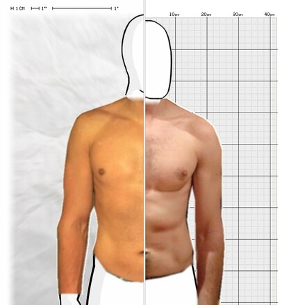 Torso Comparison