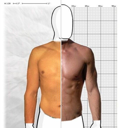 Torso Comparison