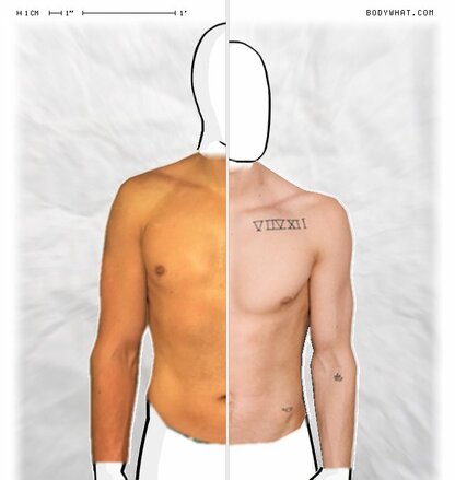 Torso Comparison