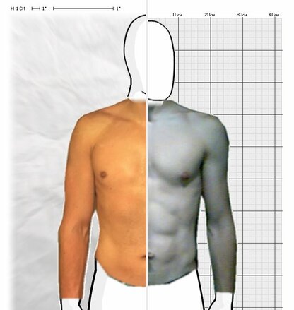 Torso Comparison