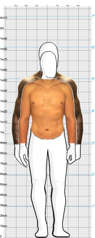 Full Size Comparison