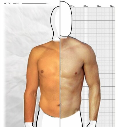 Torso Comparison