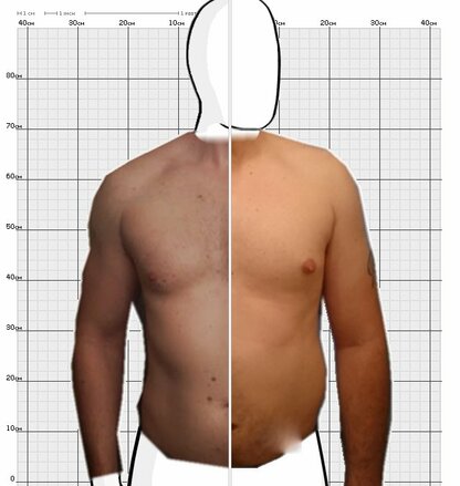 Torso Comparison