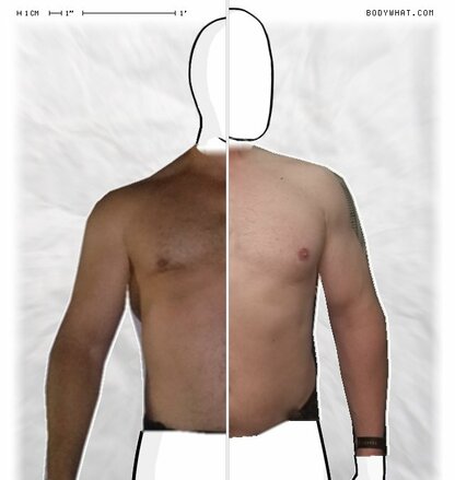 Torso Comparison