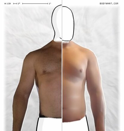 Torso Comparison