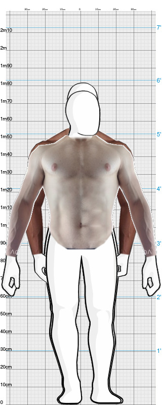 Full Size Comparison