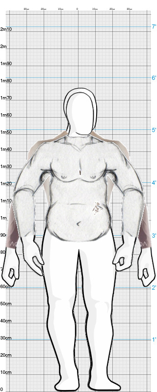 Full Size Comparison