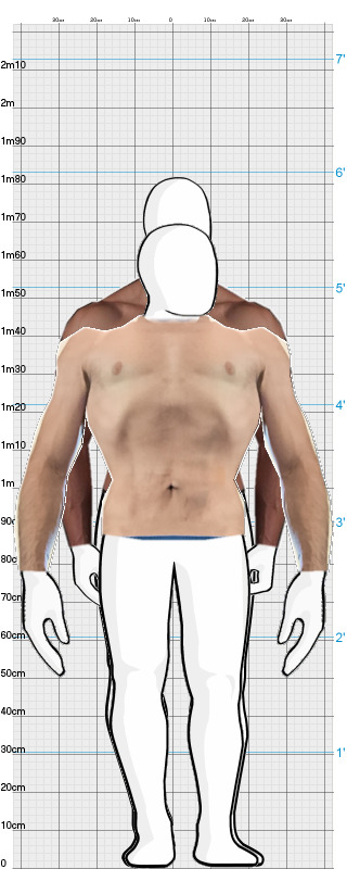 Full Size Comparison