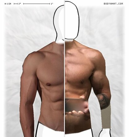 Torso Comparison