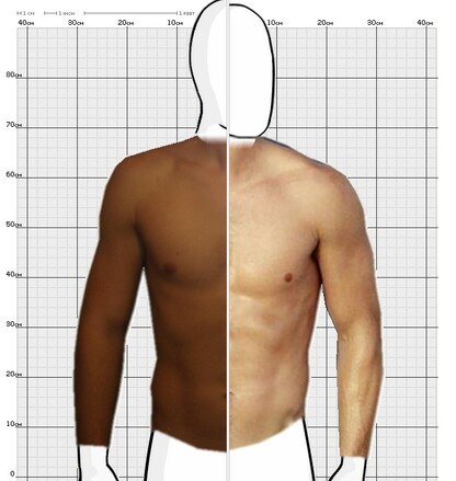 Torso Comparison