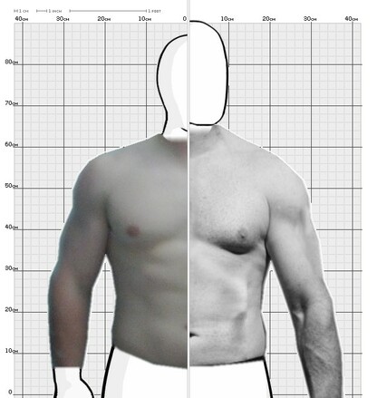 Torso Comparison