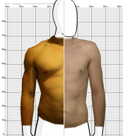 Torso Comparison