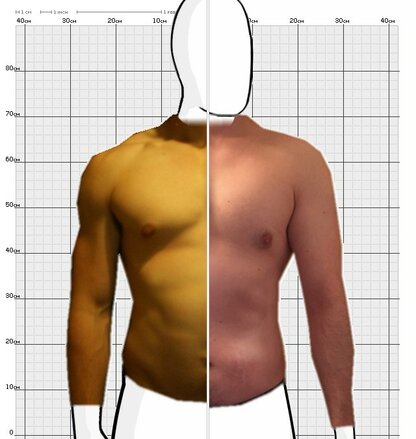 Torso Comparison