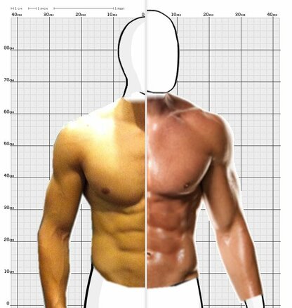 Torso Comparison