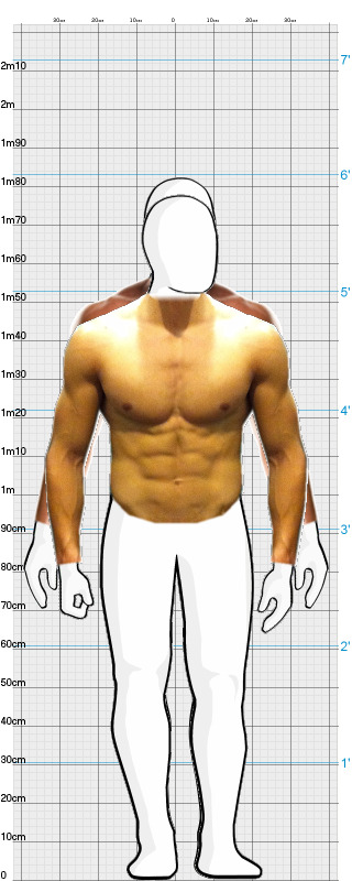 Full Size Comparison