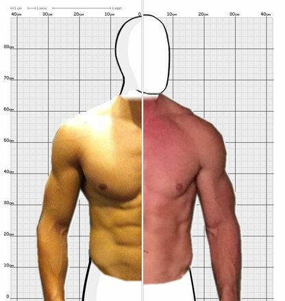 Torso Comparison