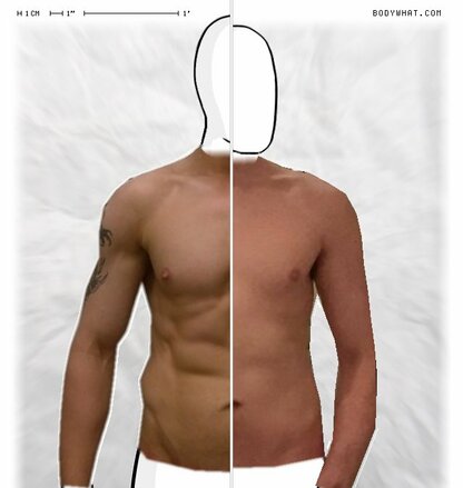 Torso Comparison