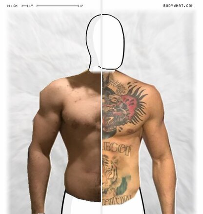 Torso Comparison