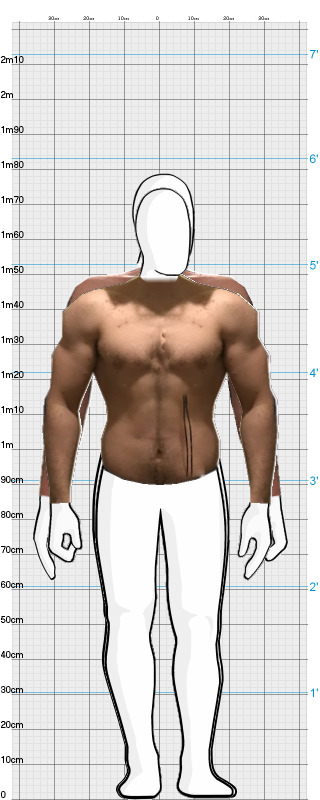 Full Size Comparison