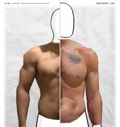 Torso Comparison