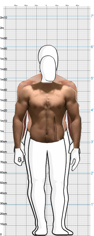 Full Size Comparison