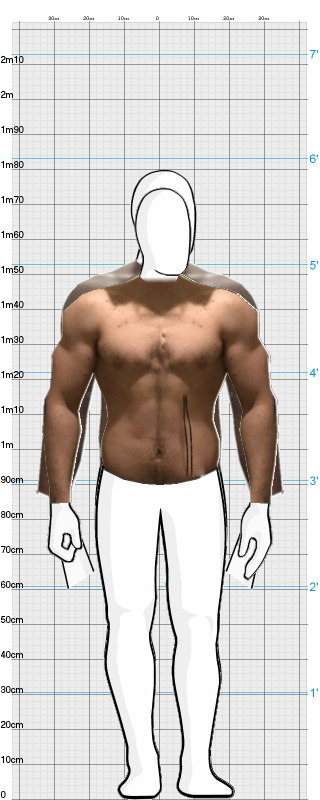 Full Size Comparison