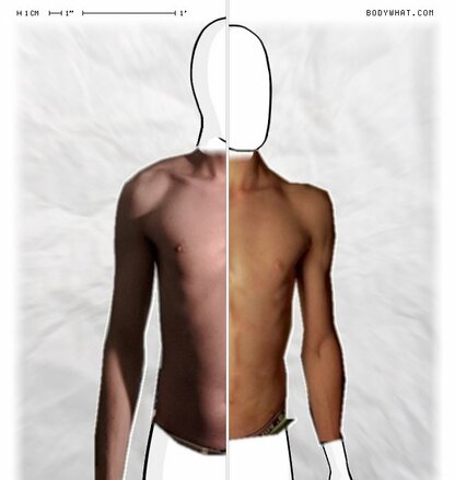 Torso Comparison