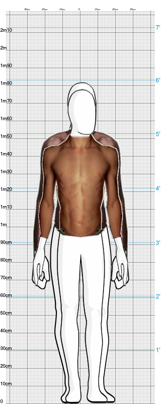 Full Size Comparison