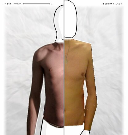 Torso Comparison