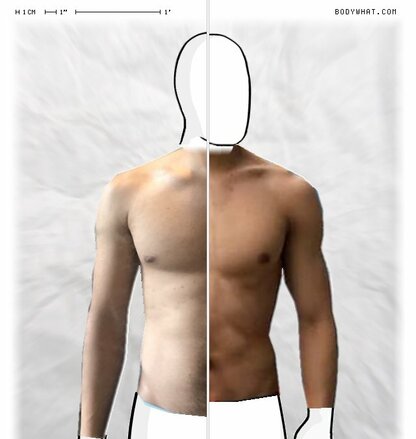 Torso Comparison