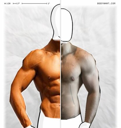 Torso Comparison