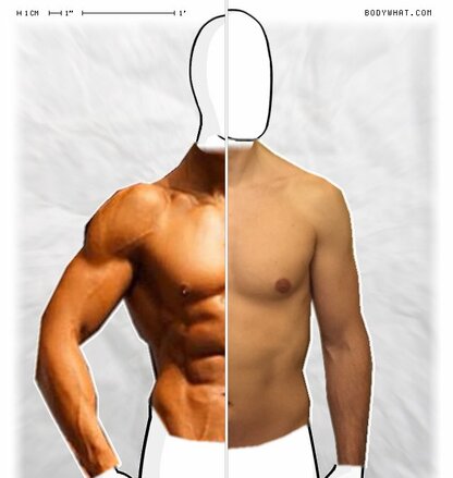 Torso Comparison