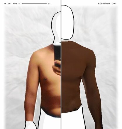 Torso Comparison