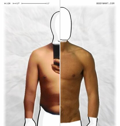 Torso Comparison