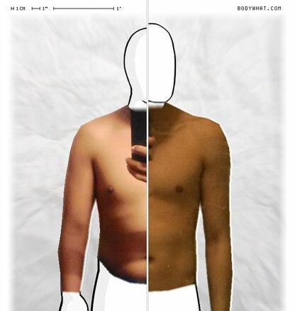 Torso Comparison