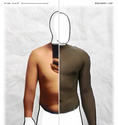 Torso Comparison