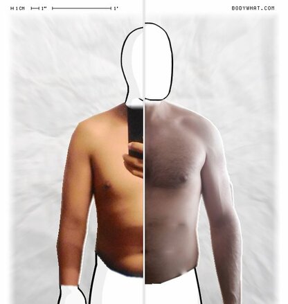 Torso Comparison