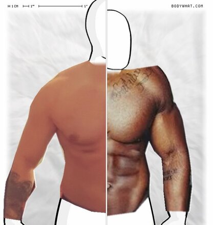 Torso Comparison